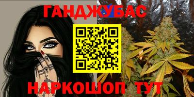 сатива Краснознаменск