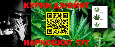сатива Краснознаменск