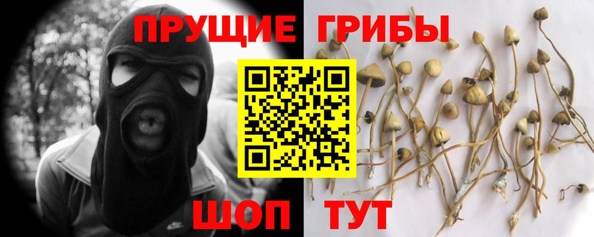 цена   Псилоцибиновые грибы прущие грибы  Вход с VPN  Калуга 
