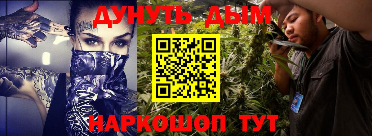 Конопля планчик Калуга
